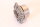 Lagerung links Differenzial Alfasud/Sprint+33 (905/7)+145/6 NEU Original