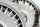 Satz(4St.) LM Felgen Campanatura 45  6Jx15 CH  Alfa Romeo GTV6 - GEBRAUCHT